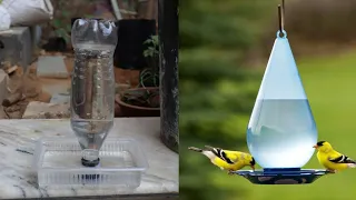 How to make a bird water feeder | Helpful for birds in summer