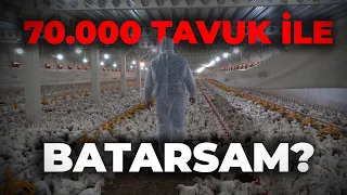 "Zamanında 2 Milyon TL harcadım, şimdi 10 Milyon TL" - Çiftlikte Etlik Tavuk Üretimi