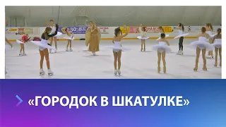 Ставропольские фигуристы готовятся к первому мюзиклу на льду