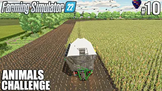 SILAGE Harvest and LOAD with CUSTOM KRONE | ANIMALS Challenge | Farming Simulator 22