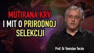 Tomislav Terzin - MUTIRANA KRV I MIT O PRIRODNOJ SELEKCIJI