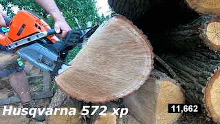 Husqvarna 572 xp vs oleo mac gs 650 ported