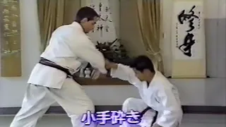 Aikido Yoseikan   Aikijitsu   Minoru Mochizuki