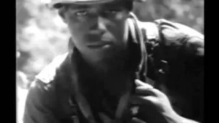 Vietnam war music video wild horses opps