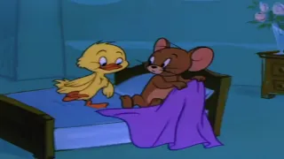 Tom and Jerry Episode 112   The Vanishing Duck Part 1