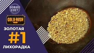 ✅GOLD RUSH:THE GAME●ПЕРВАЯ ДОБЫЧА ЗОЛОТА●Live Stream