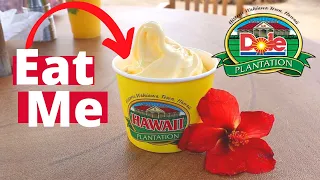 How to visit DOLE Pineapple Plantation | Pineapples for days ... yes please | OAHU