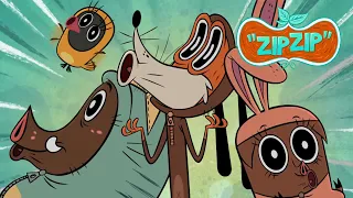 Zip Zip - The wild side HD [Official] Cartoons for kids