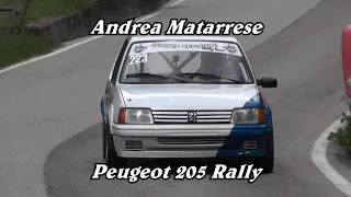 HILLCLIMB SALITA ALPE DEL NEVEGAL 2021 / ANDREA MATARRESE / PEUGEOT 205 RALLY