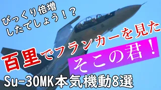 【百里基地でSu-30を見たそこのキミ！】これが巨漢の機動です！Su-30MKびっくり機動８選　ビックリ仰天倍増したでしょう！！fighter jet