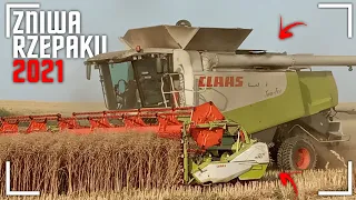 ✩ 🇵🇱 Żniwa Rzepaku 2021 🇵🇱 ✩ Claas Lexion w Akcji ✩ New Holland ✩