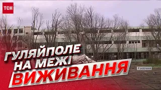 ❗ До Гуляйполя вперше змогли доправити гуманітарку! Про які жахи розказують місцеві