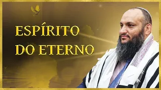 Ruach HaKodesh - O Espírito Santo de D'US