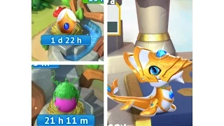 DRAGON MANIA LEGENDS my Narwhale hatched and how to breed Envy and coral dragon