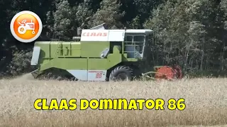 Harvest 2022 | Claas Dominator 86 combine harvesting wheat