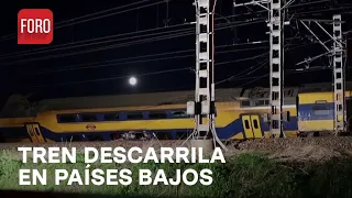 Accidente de tren en Países Bajo deja un muerto - Las Noticias