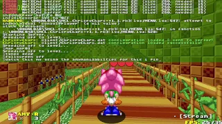 I Found a Glitch With Amymaniaabilities amy rose love works mod in srb2!