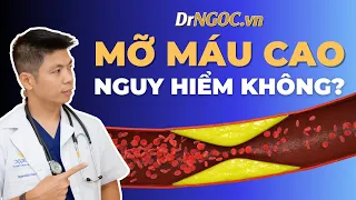 Mỡ Máu Cao Bao Nhiêu Thì Nguy Hiểm