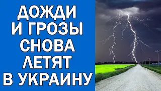 ПОГОДА НА 3 МАЯ : ПОГОДА НА ЗАВТРА