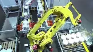 Robotic Pail Palletizing System with FANUC Palletizing Robot - PASCO