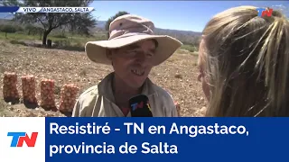 RESISTIRÉ - TN en Angastaco, provincia de Salta, recorriendo una cosecha de cebollas y morrones