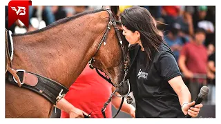 A Historia do Cavalo e o Vaqueiro - Paulo Junior (Clipe Vaquejada) VB Oficial