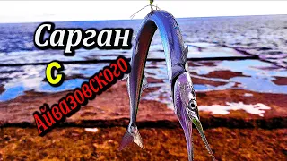 🔴ОСЕННИЙ Крым. Морская рыбалка. Кормили Таможню. Ловлю Саргана Со Скалы Айвазовского