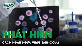 Phát Hiện Mới Ngăn Ngừa Hiệu Quả SARS-CoV-2 Tận Rễ | SKĐS