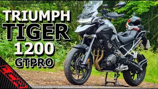 NEW Triumph Tiger 1200 GT Pro | Should BMW Be Worried?? 🤔