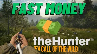 How to get a lot of money FAST! - TheHunter: Call of the Wild