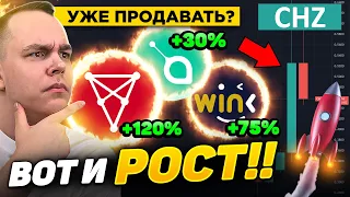 А ВОТ И РОСТ АЛЬТЫ!! CHZ, WINK, SC - ЧАСТЬ ПРОДАВАТЬ?!! БИТКОИН ПРОГНОЗ И АЛЬТКОИНЫ | Криптовалюта