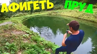 Ловля форели! Собираю белые грибы!Готовлю шулюм из грибов и форели