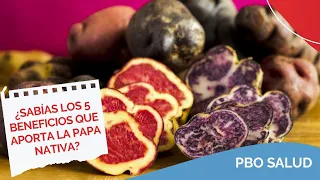 ¿Sabías los 5 beneficios que aporta la papa nativa? | #PBOSalud Tips🩹