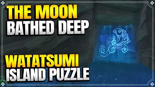 The Moon-Bathed Deep | World Quests and Puzzles |【Genshin Impact】