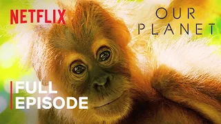 Our Planet | Jungles | FULL EPISODE | Netflix