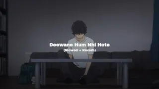 Deewane Hum Nhi Hote (Slowed + Reverb) | Lofi Song | Song Santanu