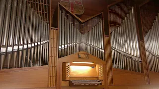 The Beauty of the Wollongong Town Hall Organ | Pep Organ Tour
