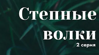 podcast: Степные волки - 2 серия - сериальный онлайн киноподкаст подряд, обзор