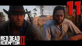 Red Dead Redemption 2. Прохождение. Часть 11 (О'Дрисколл)