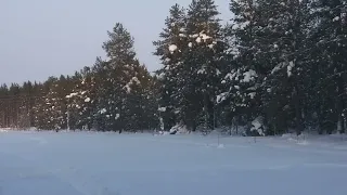 "Когда дороги наши разойдутся..." l Стих l Мила Григ