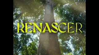 NOVELA RENASCER capitulo do dia 15 de FEVEREIRO