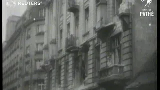 On fourth anniversary of outbreak of war, Polish government releases pictures of Warsaw's ...(1943)