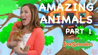 Amazing Animals | Treeschool | PART 1 | Educational Kids Videos