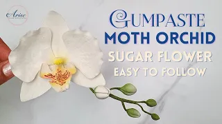 How To Make A Gumpaste Moth Orchid (Phalaenopsis) With Buds | EASY TO FOLLOW | Sugar Flowers