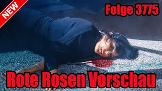 Rote Rosen Vorschau Folge 3775