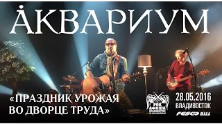 Аквариум - Праздник Урожая во Дворце Труда (Live, Владивосток, 28.05.2016)