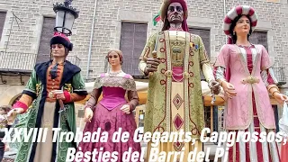 XXVIII Trobada de Gegants del Barri del Pi (24/03/24)