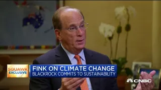 BlackRock CEO Larry Fink on shifting investment strategy towards environmental sustainability