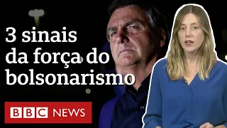 3 sinais que 1º turno dá sobre força do bolsonarismo