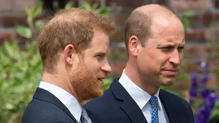 Eagle-Eyed Fans Believe William's Nod To Harry Changes Things